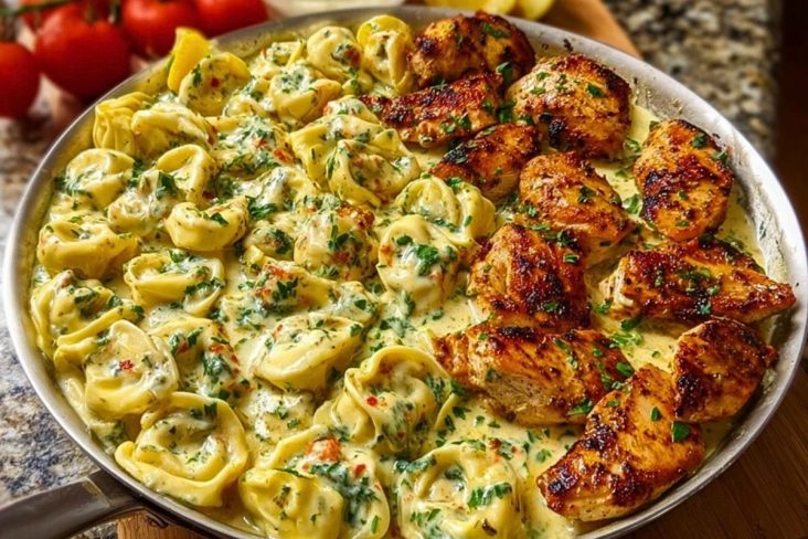 Easy Creamy Velveeta Chicken Tortellini with Mozzarella Garlic Sauce One-Pot Dinner